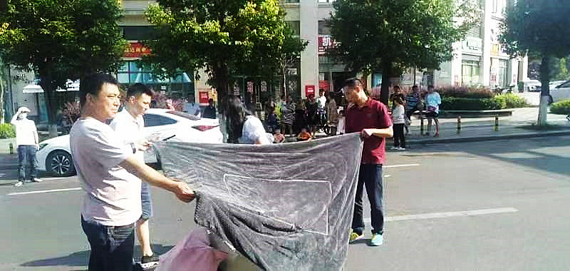 點贊｜烈日下行人被撞倒地，熱心公交人全程守護